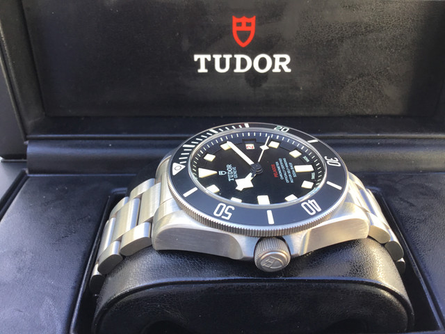 FS: Tudor Pelagos Left Hander 25610TNL image 3